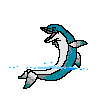delfino batte pinne.gif